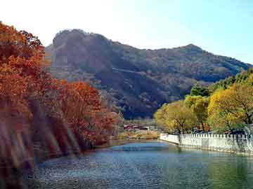 成都兴龙交通设施厂，城市景观中停车场设计美化新趋势分析