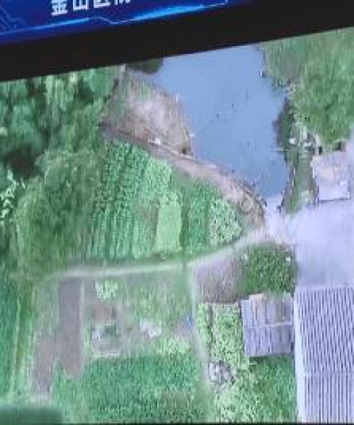 海波被抓最新视频大全播放——深度解析与报道：海波被抓最新视频大全播放在线观看