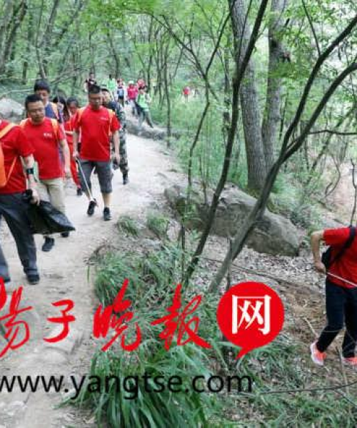 东吴人寿公司排名及其在行业中的地位：东吴人寿公司排名第几
