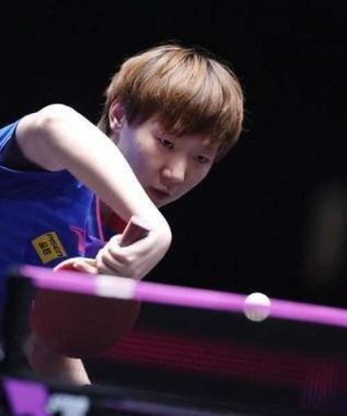 2024澳门天天免费精准大全｜深入数据执行计划