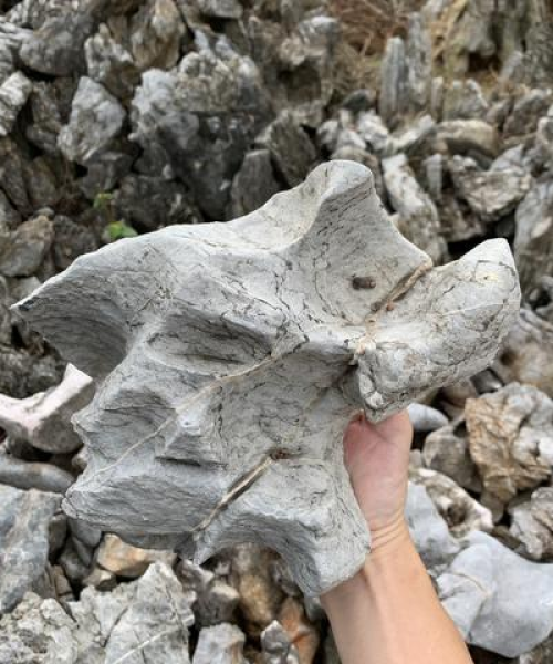黑山石最新消息今日价格：黑山石最新消息今日价格表