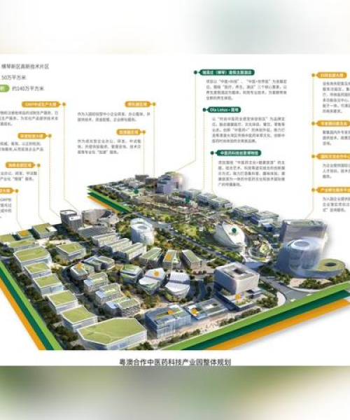 2025澳门天天开奖结果｜系统解答解释落实