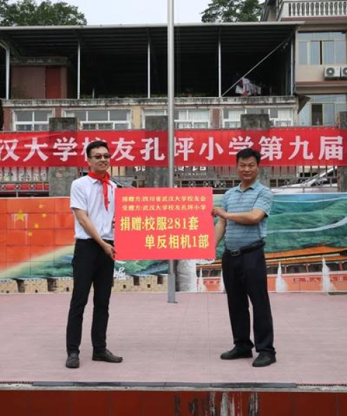 武汉全区小学排名前十名概览：武汉全区小学排名前十名学校