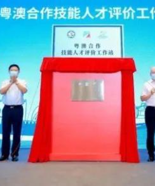 澳门挂牌｜探索与揭秘