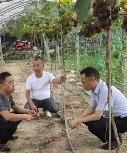 银行励志语录图片治愈系列，坚持与梦想同行：银行励志语录经典短句