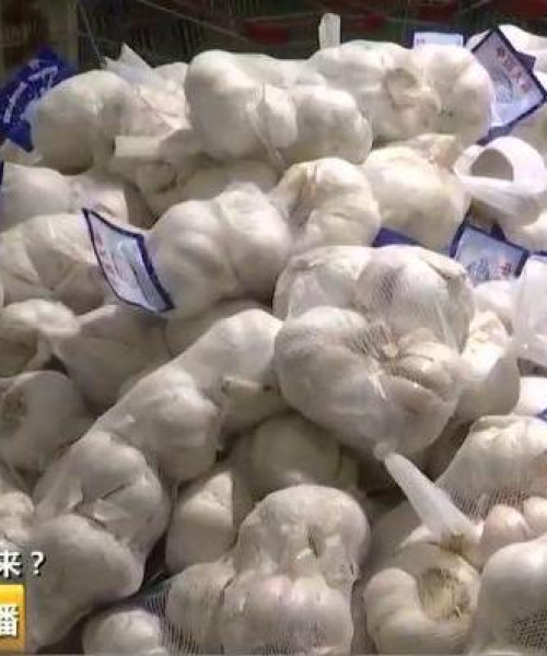 干蒜行情最新消息报告，今日市场走势及未来预测：干蒜今日行情最新消息