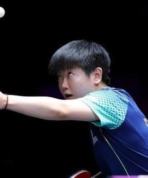 2024年澳门今晚开奖结果[公证结果]43-15-29-39-44-31 T：01
