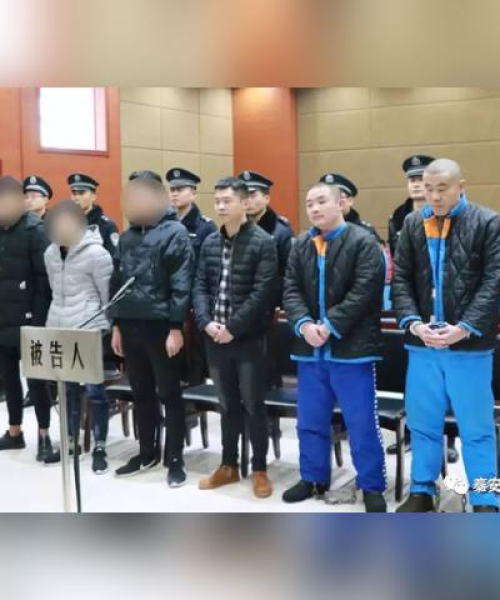 宁阳法院最新新闻头条：宁阳法院最近新闻头条视频