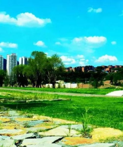 达州梨树坪地段规划最新消息：达州梨树坪地段规划最新消息图