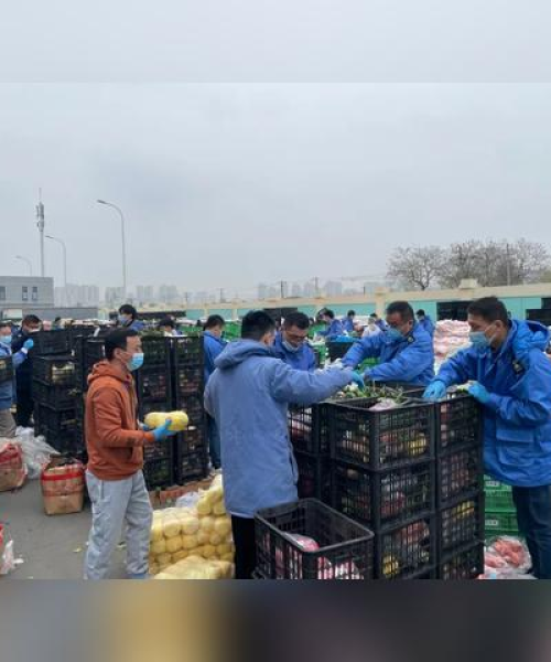 合肥装箱公司排名及行业分析：合肥装箱公司排名前十