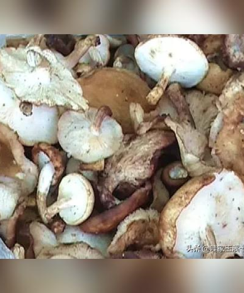 易门县白酒价格表最新消息：易门县白酒价格表最新消息图片