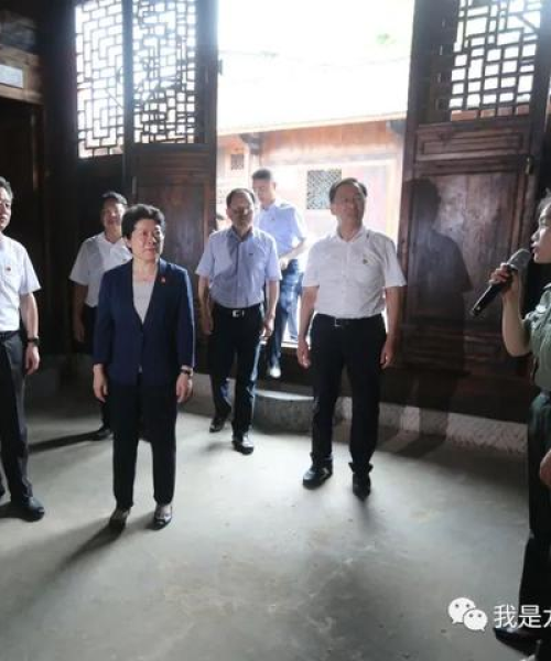 临潼杨家村新闻头条——乡村振兴的新篇章：临潼杨家村新闻头条最新消息