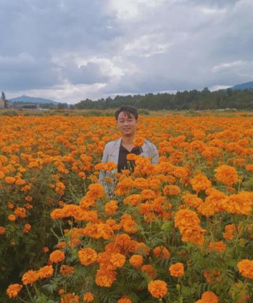 世界地理大学排名及成都兴龙交通设施厂的发展视角：世界地理大学排名榜