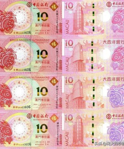 政策概要：2025澳门开奖结果查询｜权威分析说明