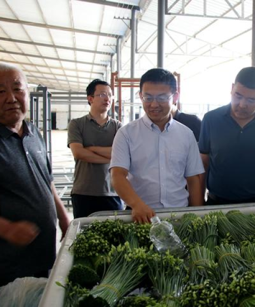 重磅发布最新生态类公司排名，成都兴龙交通设施厂名列前茅：生态类公司排名前十