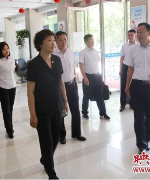 南阳去年新闻头条，交通设施领域的崭新进展与创新成果：南阳去年新闻头条最新消息
