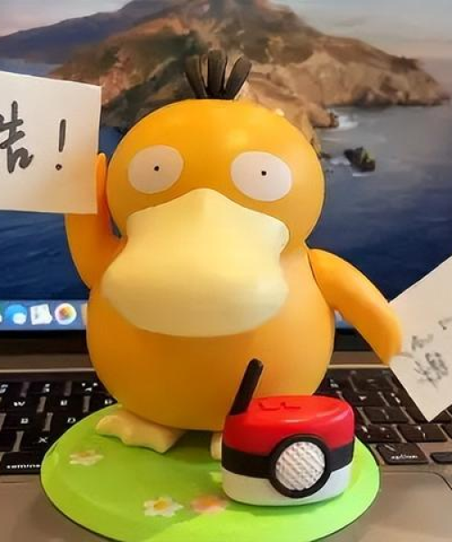 今日附近鸭子出售信息最新：今日附近鸭子出售信息最新消息