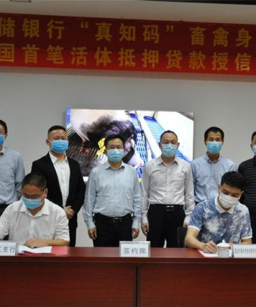 银行贷款排名前十名，揭示行业巨头及其影响力：