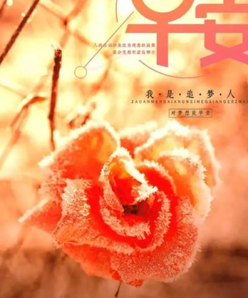 励志语录，情感、励志与学习之路：情感语录 励志