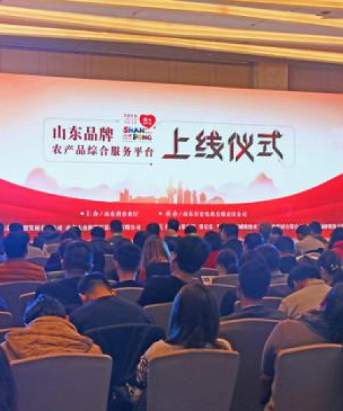 今日山东头条最新报道，山东省经济、科技与社会发展新动态：今日山东头条最新消息