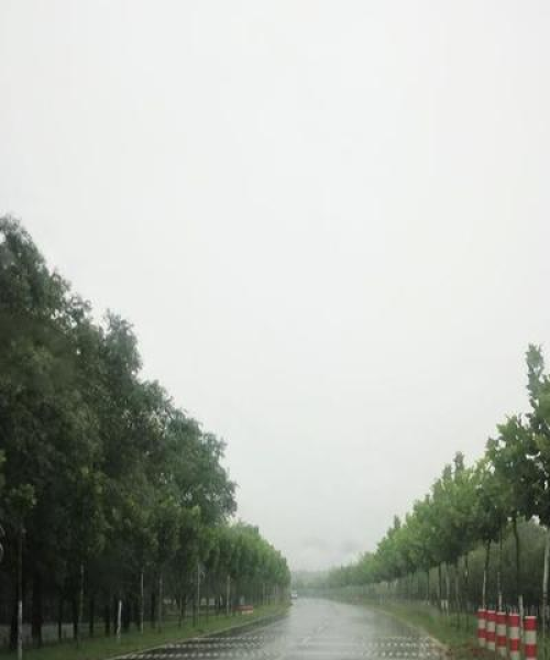今日天气今报新闻成都兴龙交通设施厂所在地最新天气预报及生活建议：今日天气今报新闻最新消息