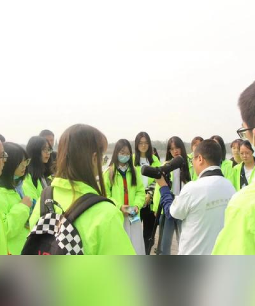 鲁家滩最新视频今日发布，展现生态美景与交通设施建设的融合：鲁家滩最新视频今日新闻