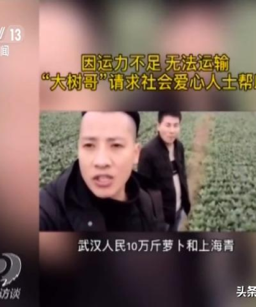 德阳新闻头条，今日焦点深度解析：德阳新闻 今天新闻头条视频