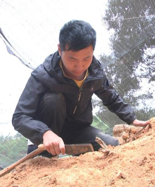 广东窑炉厂家排名前十名：广东窑炉厂家排名前十名有哪些