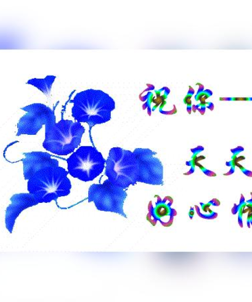 洒脱者语录励志——以数据见证人生之路：洒脱者语录励志短句