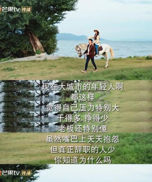 海边拍照青春励志语录：海边拍照青春励志语录图片