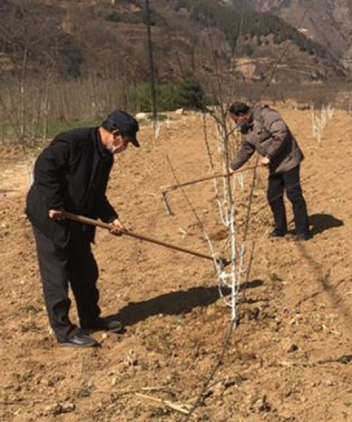 陈仓区今日疫情最新消息：陈仓区今日疫情最新消息通知