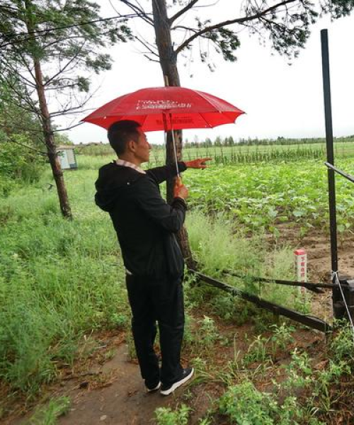 漠河土地征收政策最新解读：漠河土地征收政策最新消息
