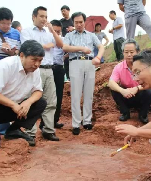 世界各州最强恐龙排名：世界各州最强恐龙排名榜