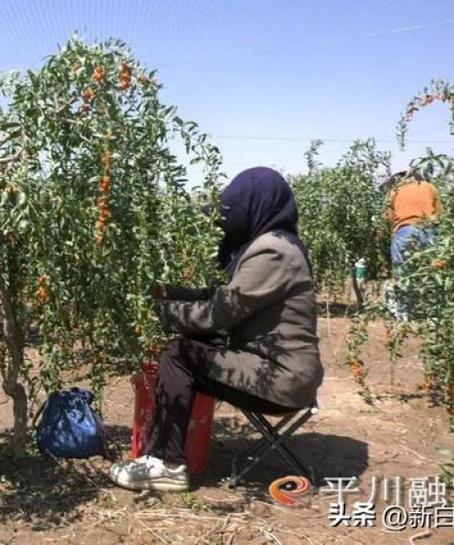 今日白银最新收入报告：今日白银最新收入多少