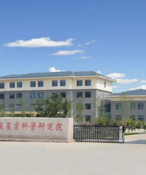 青州白菜育苗时间最新规定及其影响：青州白菜育苗时间最新规定图片