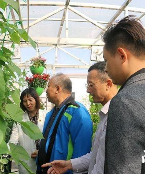 今日大棚最新视频大全，成都兴龙交通设施厂深入解读现代农业技术：今日大棚最新视频大全图片