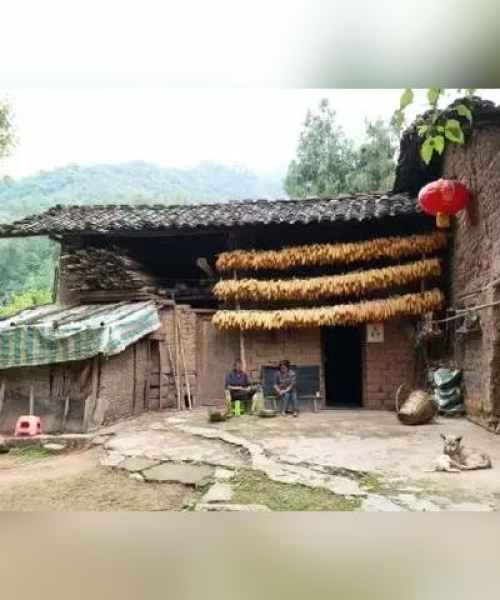 中国枇杷收入排名前十名：中国枇杷收入排名前十名有哪些
