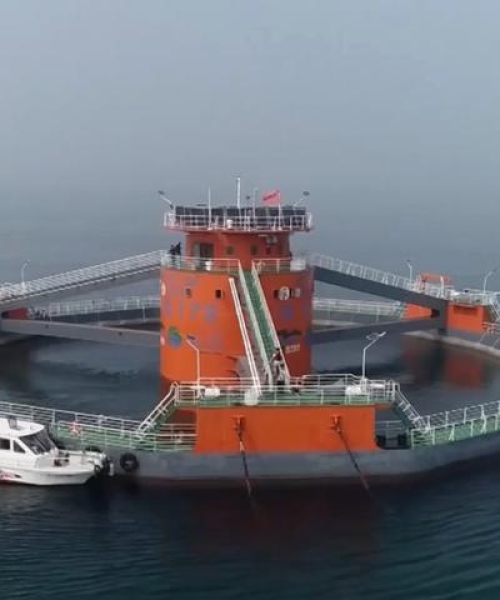 世界养殖珍珠排名：世界养殖珍珠排名前十