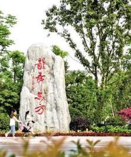铜梁西郊花海最新消息今天：铜梁西郊花海最新消息今天开放吗