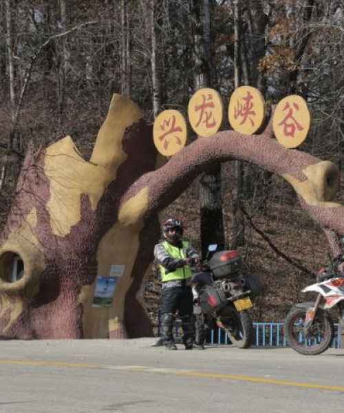 森林摄影励志语录与成都兴龙交通设施厂的精神共鸣：森林摄影励志语录大全图片