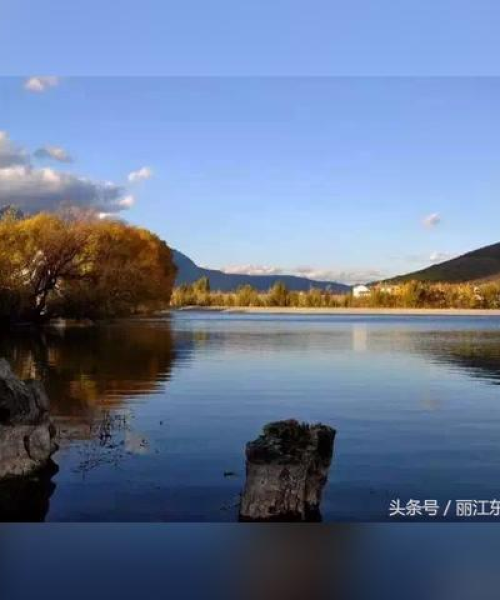 清溪酒店婚礼视频大全最新——记录美好瞬间，留存一生回忆：清溪酒店婚礼视频大全最新图片