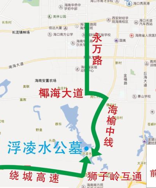 海口狮子岭最新新闻头条——交通设施新进展与创新成果展示：海口狮子岭最新新闻头条视频