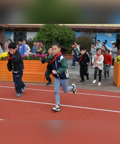 织里小学排名前十名，教育质量与学生表现的卓越典范：织里小学排名前十名有哪些