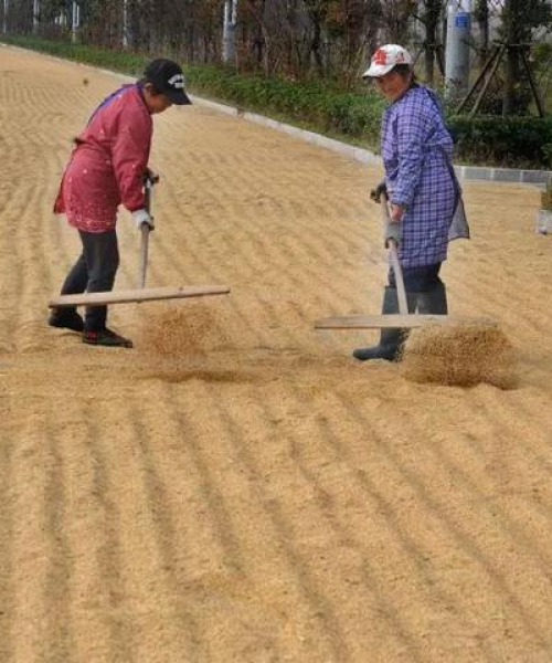 扬州摄影公司排名及行业分析：扬州拍照公司排名前十