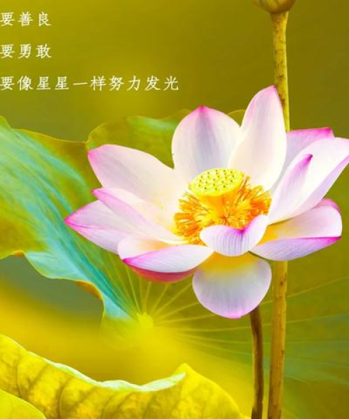 励志语录，人生的简单之道：励志语录人生很简单的句子