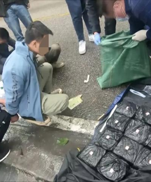 嘉兴露营公司排名：嘉兴露营公司排名前十