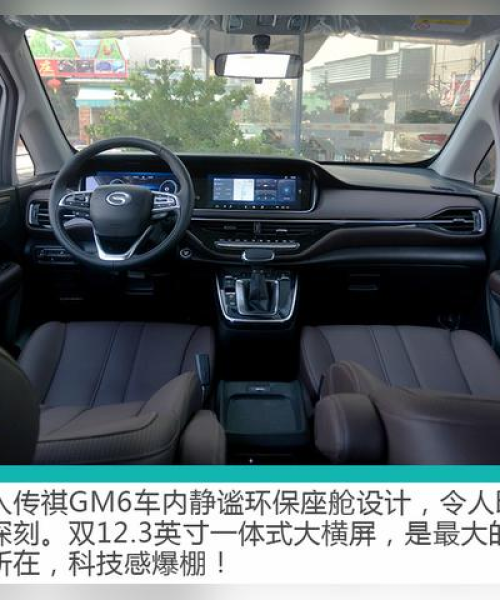 海豚的故事语录励志，跃动的勇气与无限的可能：海豚的故事语录励志句子