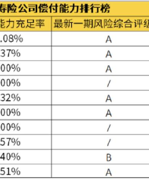 恒安保险公司排名及其行业地位分析：恒安保险公司排名第几