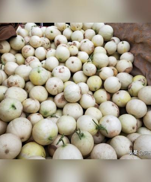 河北西瓜公司排名及市场分析：河北西瓜公司排名第几