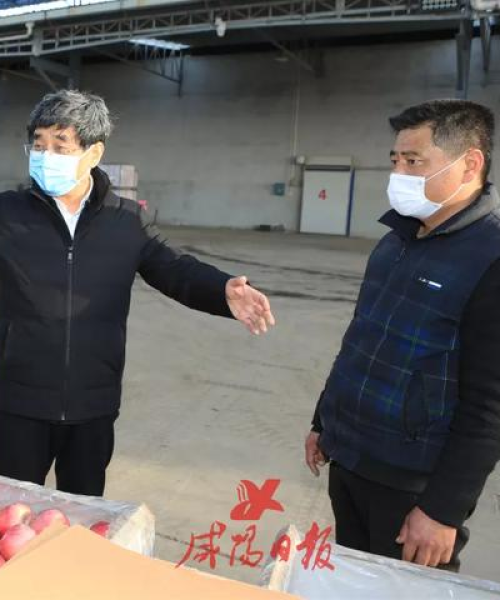 成都兴龙交通设施厂，提升城市交通效率的关键实践经验——实现30%通行效率增长：成都兴龙建设开发公司